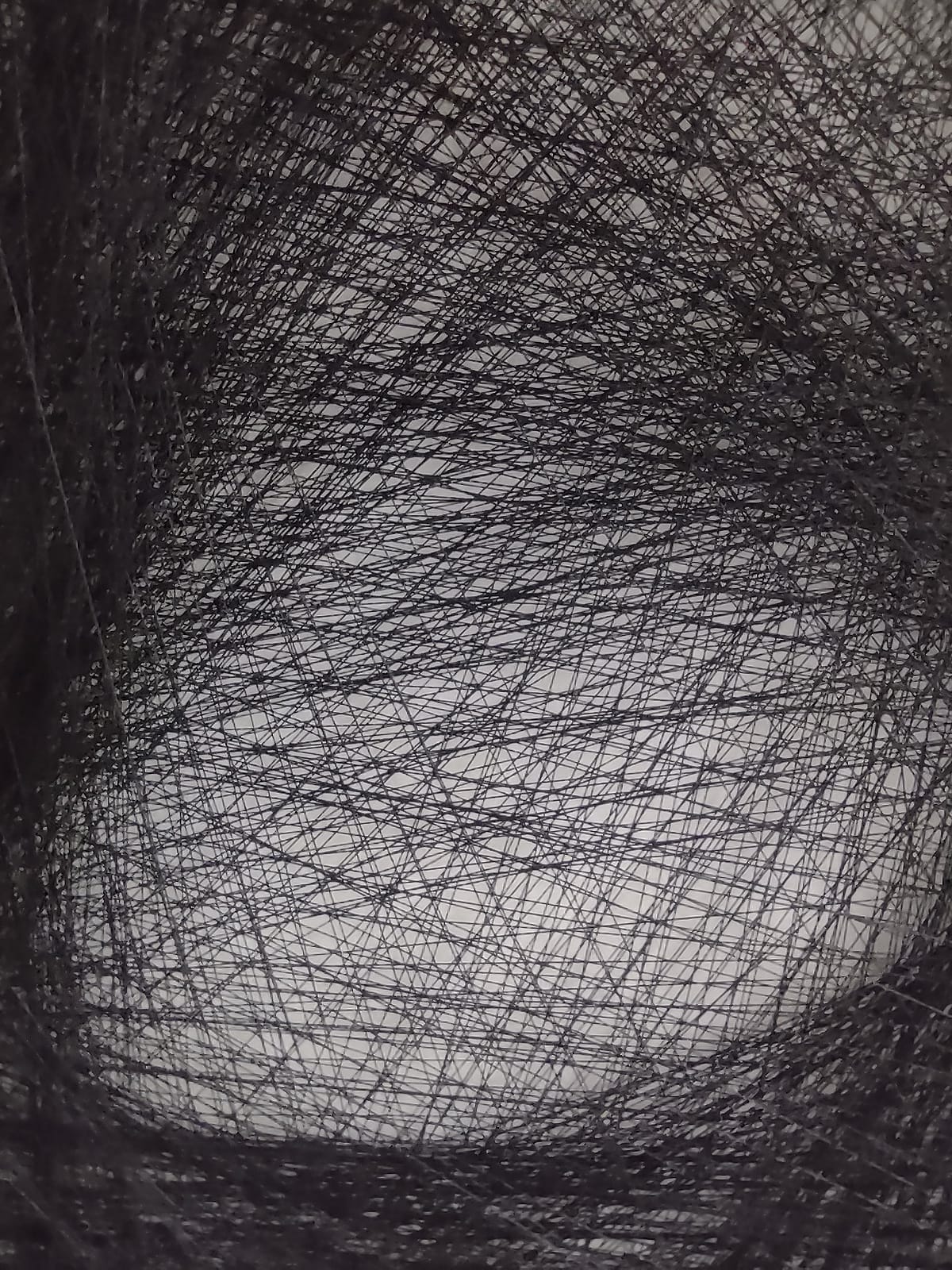 Portret in String Art - Meesterwerk - String portret