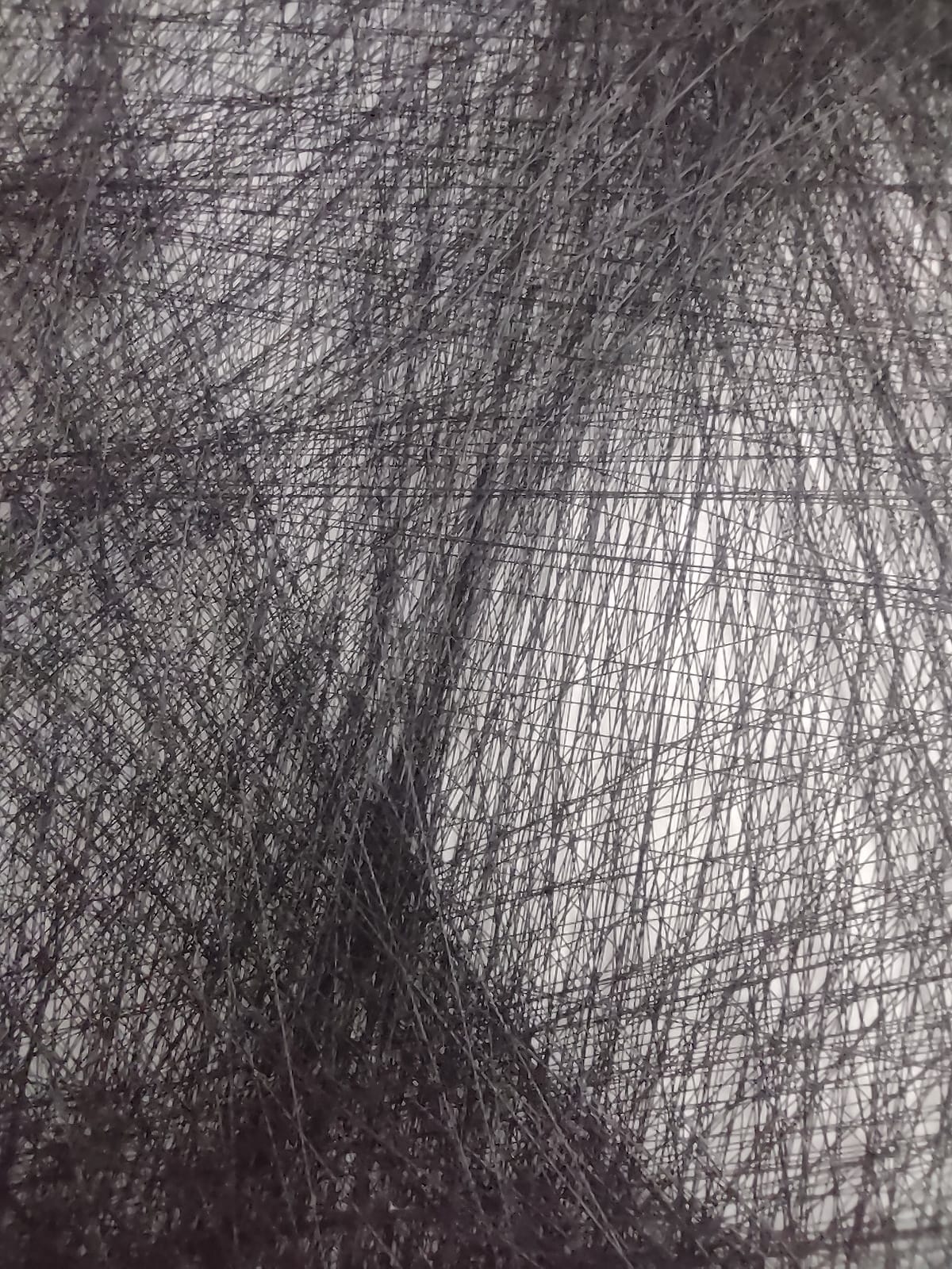 Eerste gelukte prototype - String portret