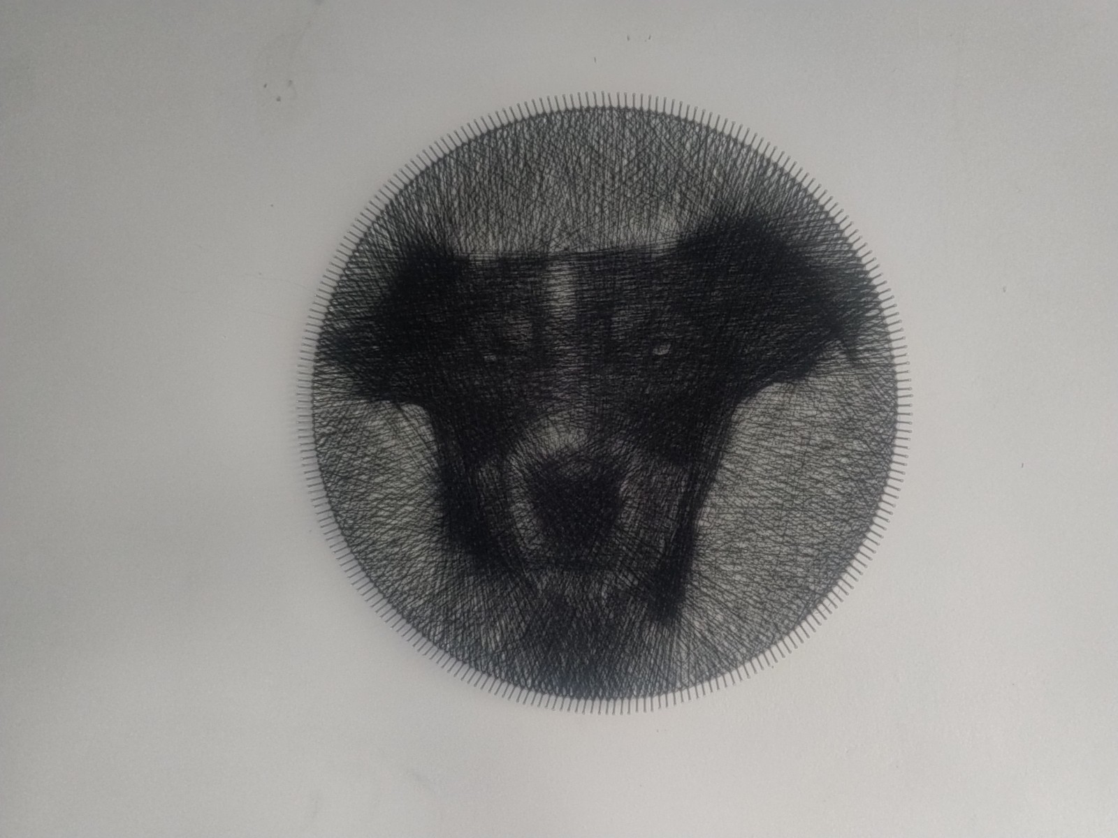 String portrait 30 cm