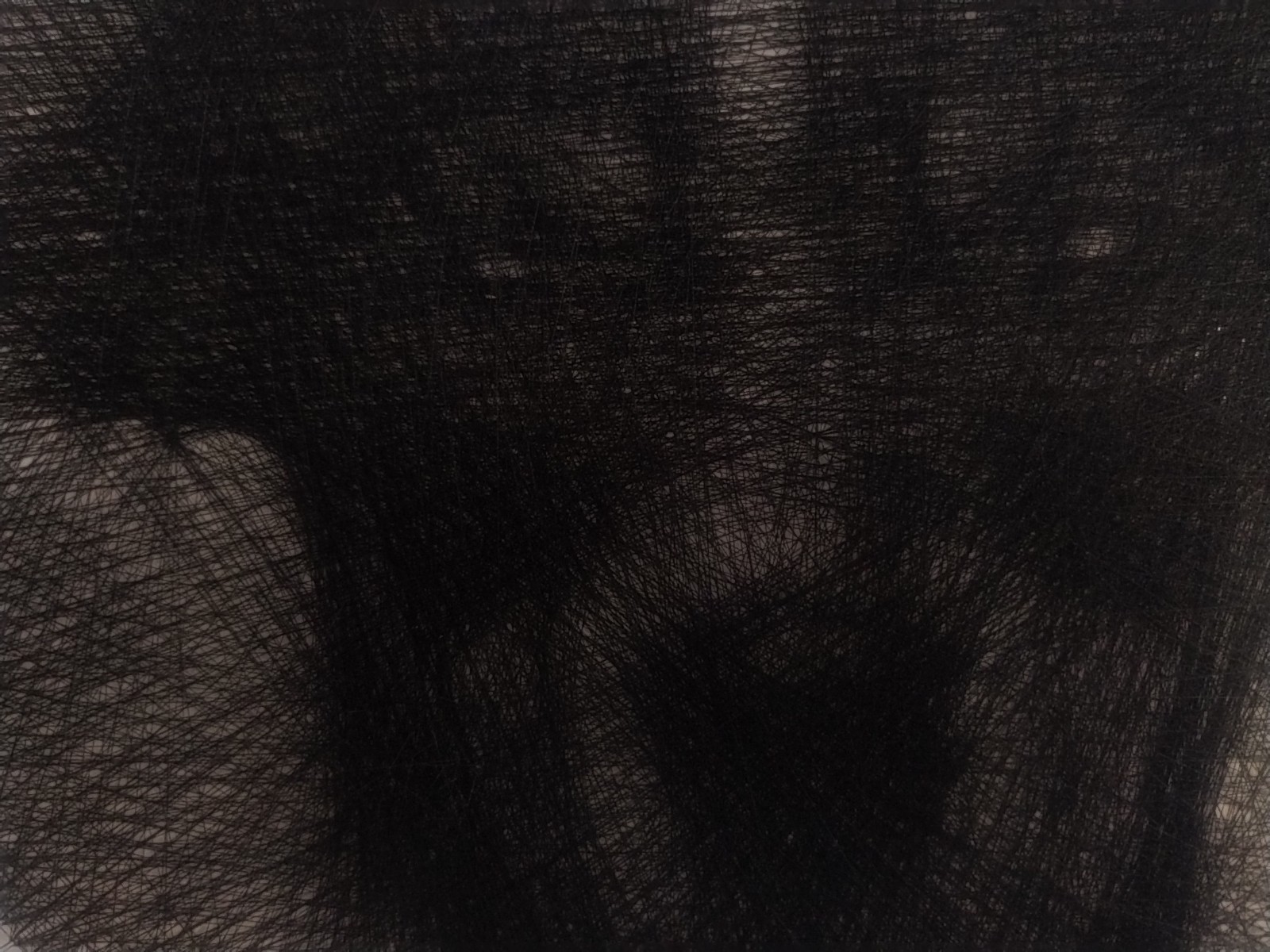 String portrait 30 cm