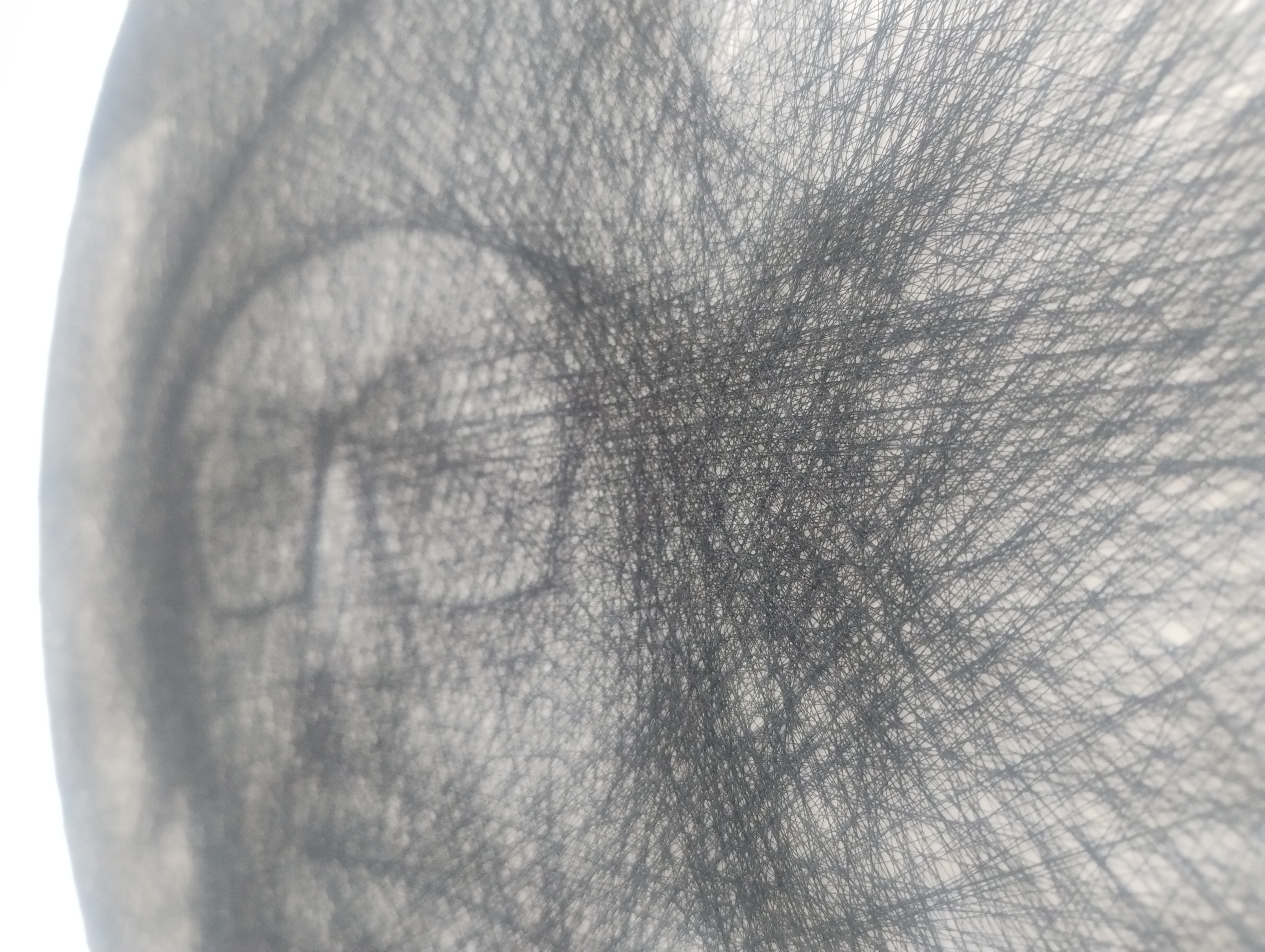 String portrait 40 cm