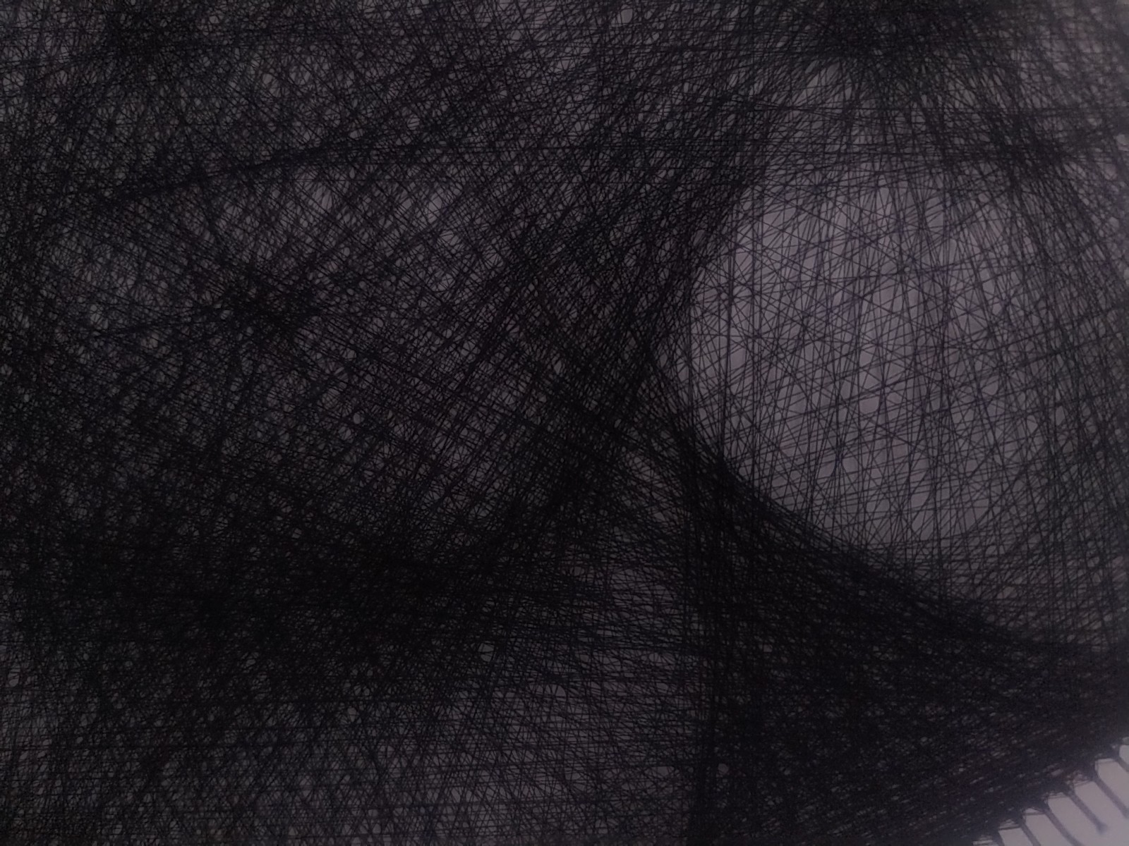 String portrait 40 cm